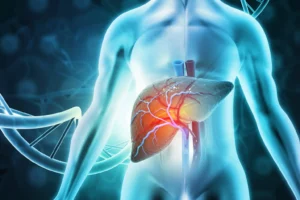 Liver Function Test
