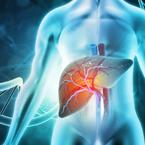 Liver Function Test