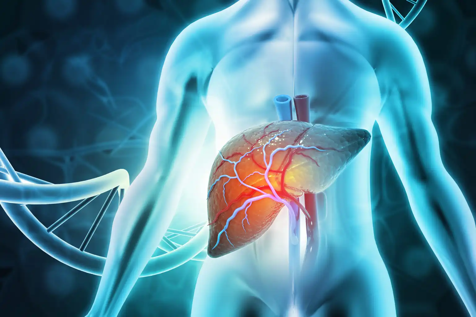 Liver Function Test