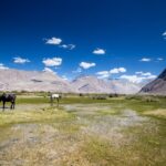 nepal holiday packages