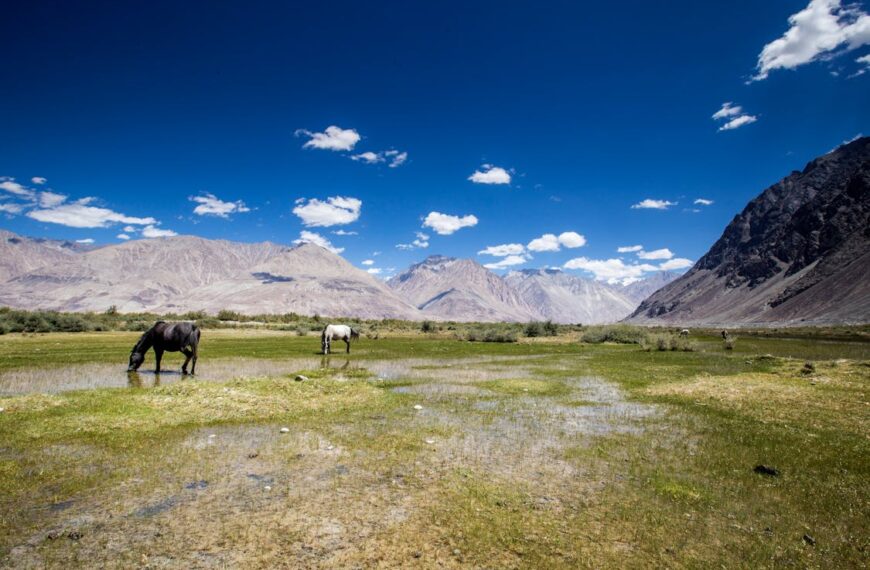 nepal holiday packages