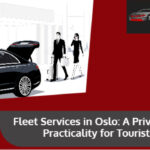 Professional Transport Service Oslo