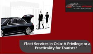 Professional Transport Service Oslo