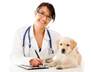 What’s After-care When Spaying Dogs in Regina? Complete Guide