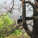 uttarakhand trip packages